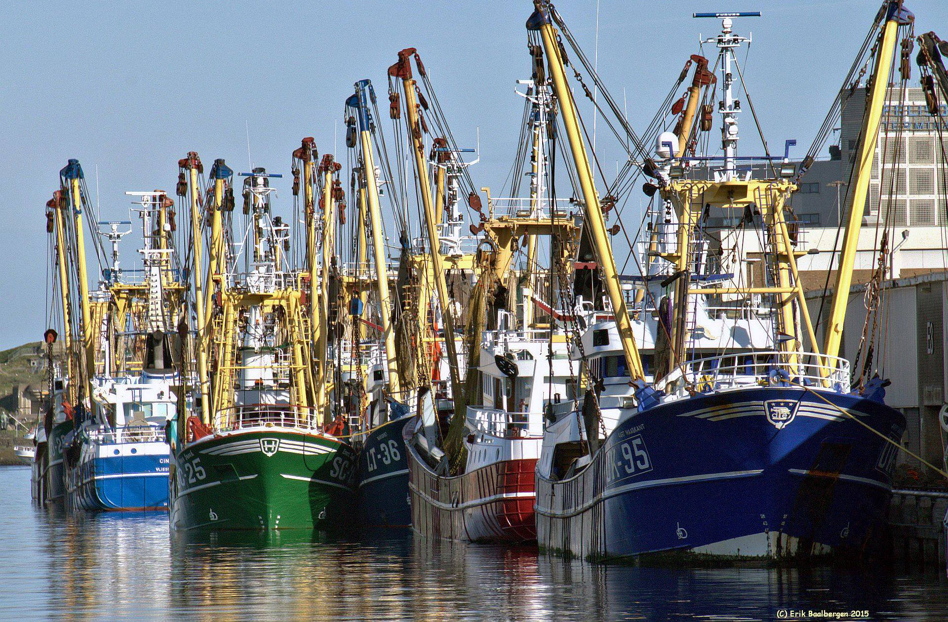 Ondernemende IJmuidenaren