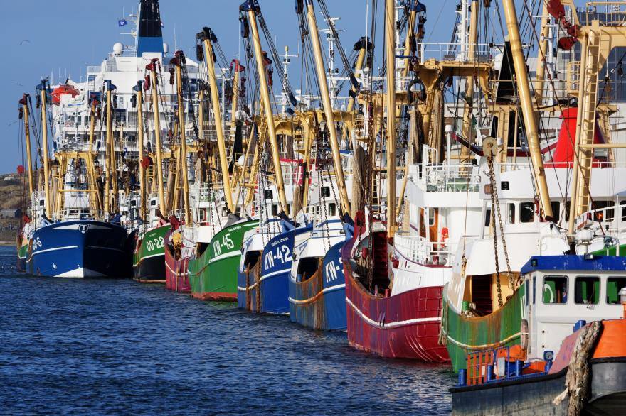 Art at the Harbour