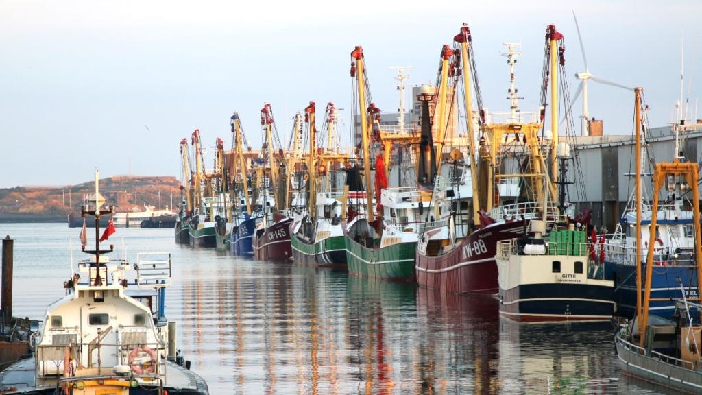 Haven IJmuiden