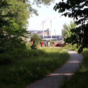 Vissenloop wordt groot wandelfeest en heel speciaal!